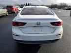 2019 HONDA Insight