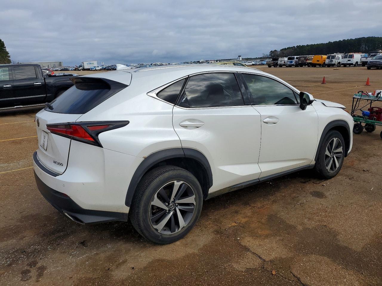 2019 LEXUS NX 300
