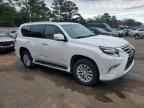 2017 LEXUS GX 460