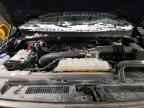 2023 FORD Expedition