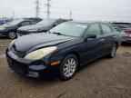 2004 LEXUS ES 330