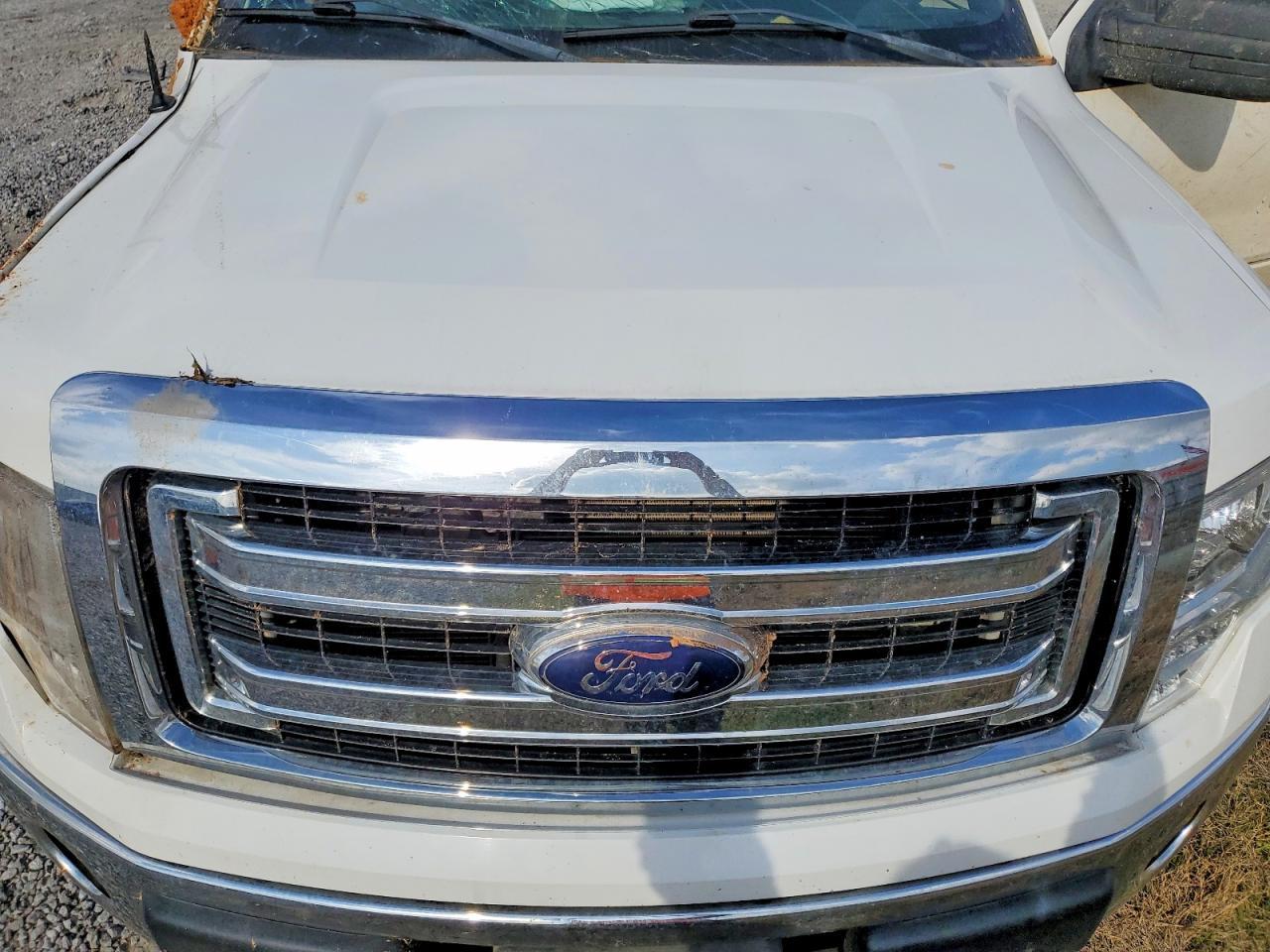 2014 FORD F-150