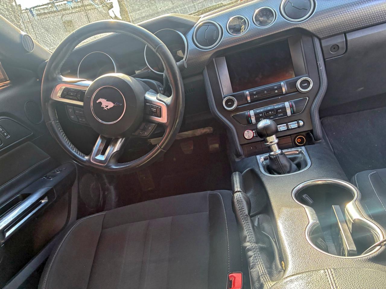 2019 FORD MUSTANG