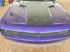 2010 DODGE Challenger