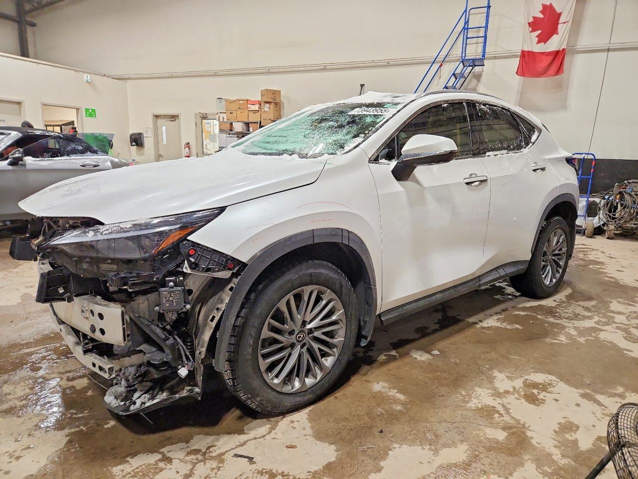 2024 LEXUS NX 350H