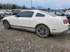 2010 FORD MUSTANG