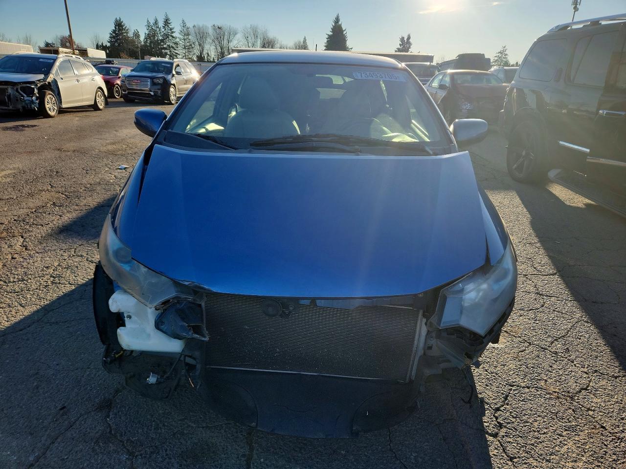 2010 HONDA Insight