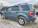 2010 FORD ESCAPE