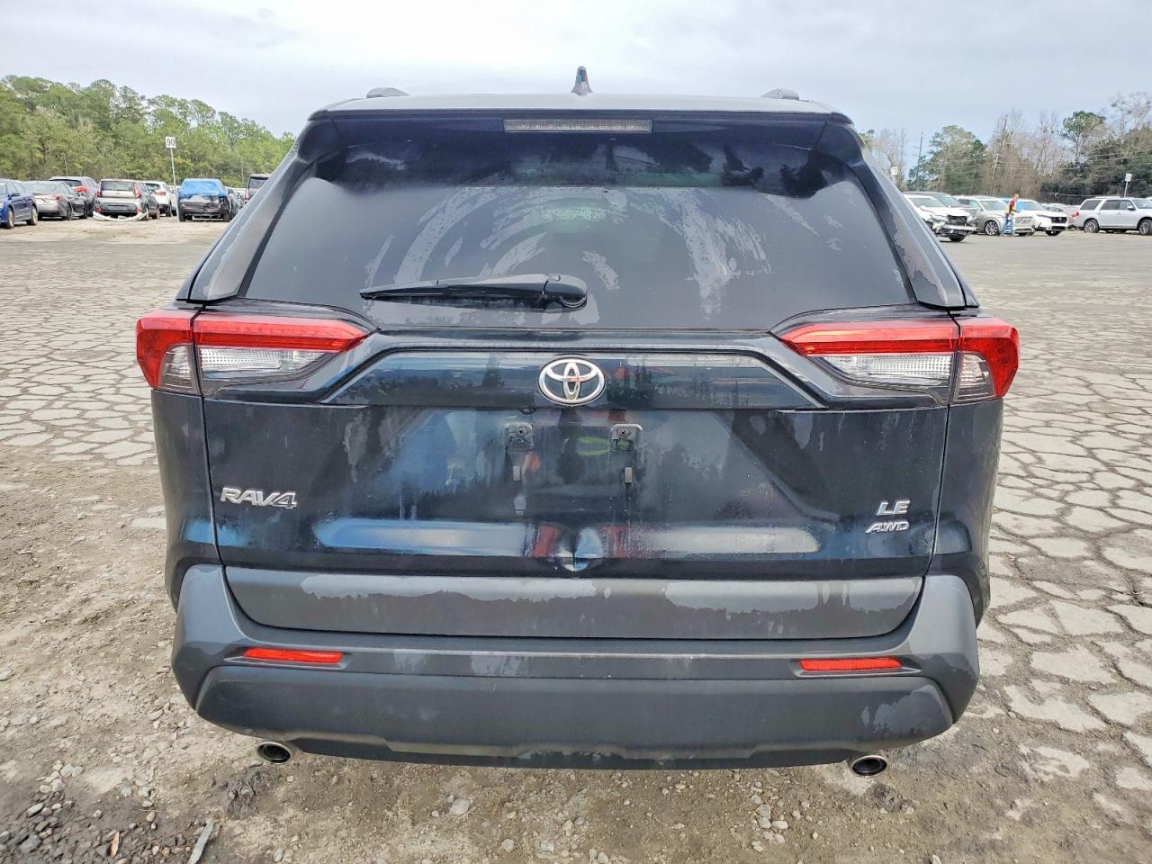 2019 TOYOTA RAV4
