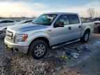 2013 FORD F-150 Lightning