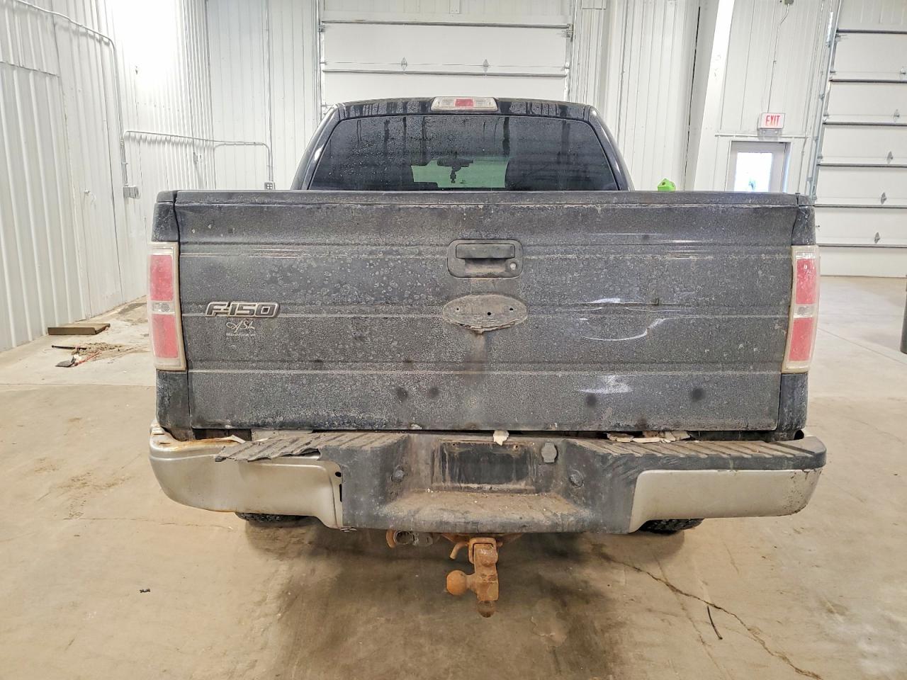2010 FORD F-150