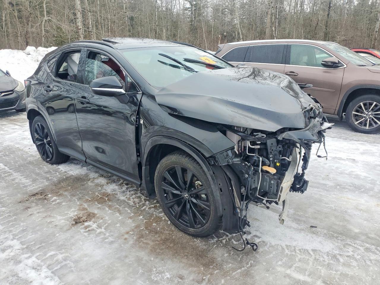 2024 LEXUS NX 350