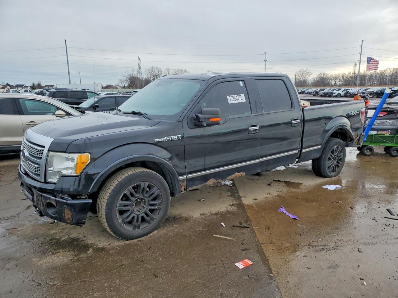 2010 FORD F-150