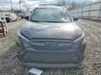 2024 TOYOTA Corolla Cross