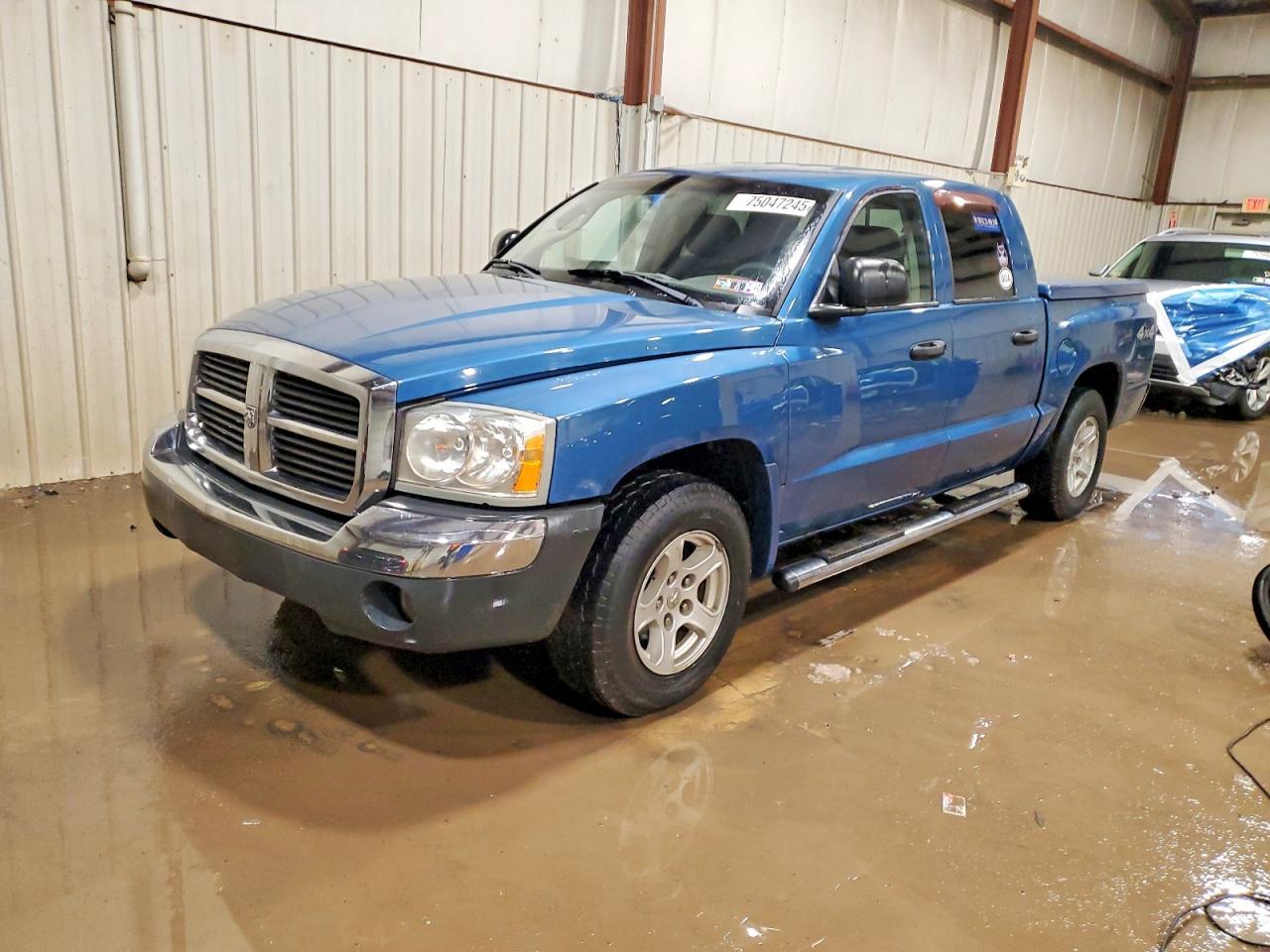2005 DODGE Dakota
