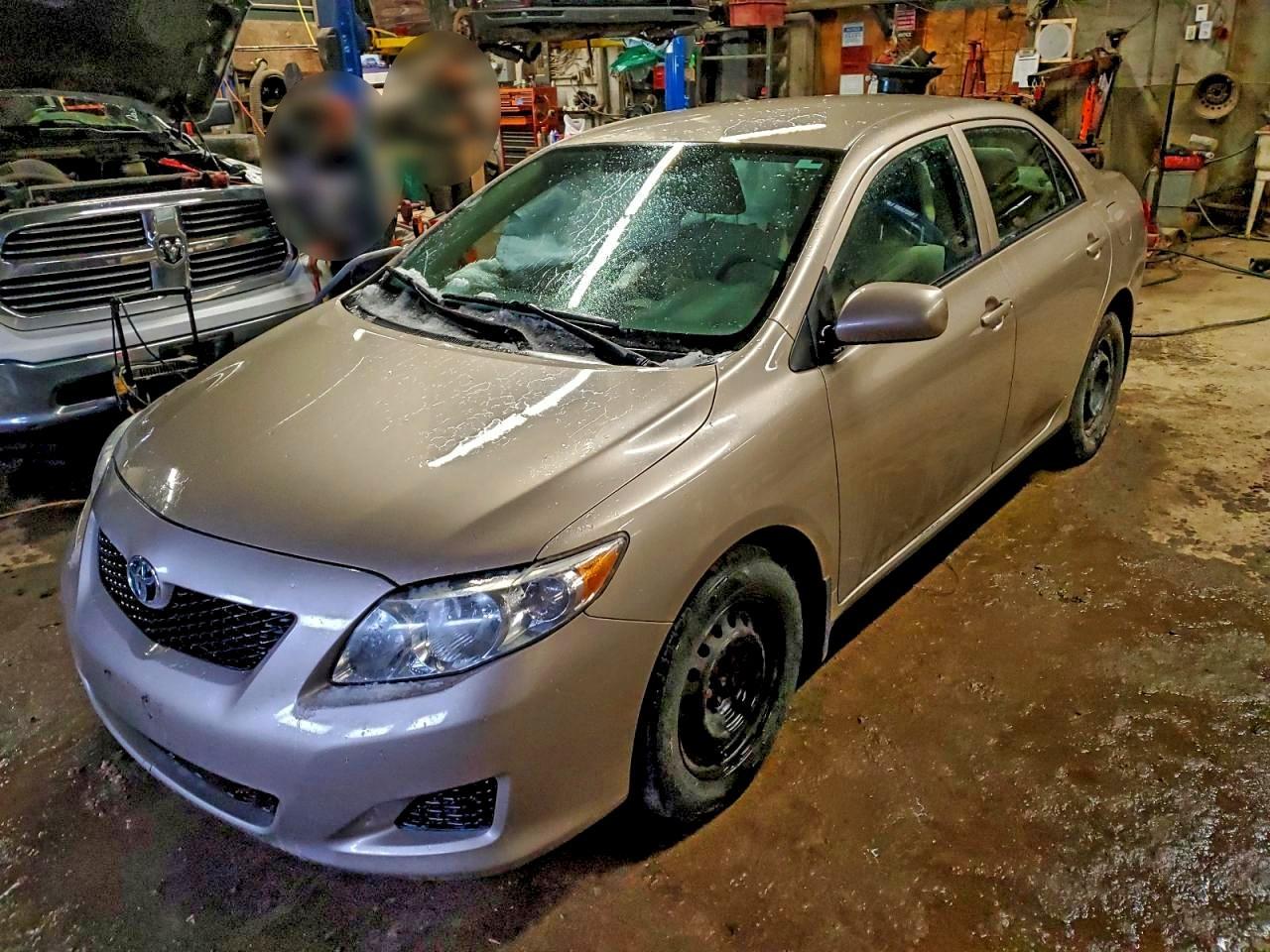 2010 TOYOTA COROLLA