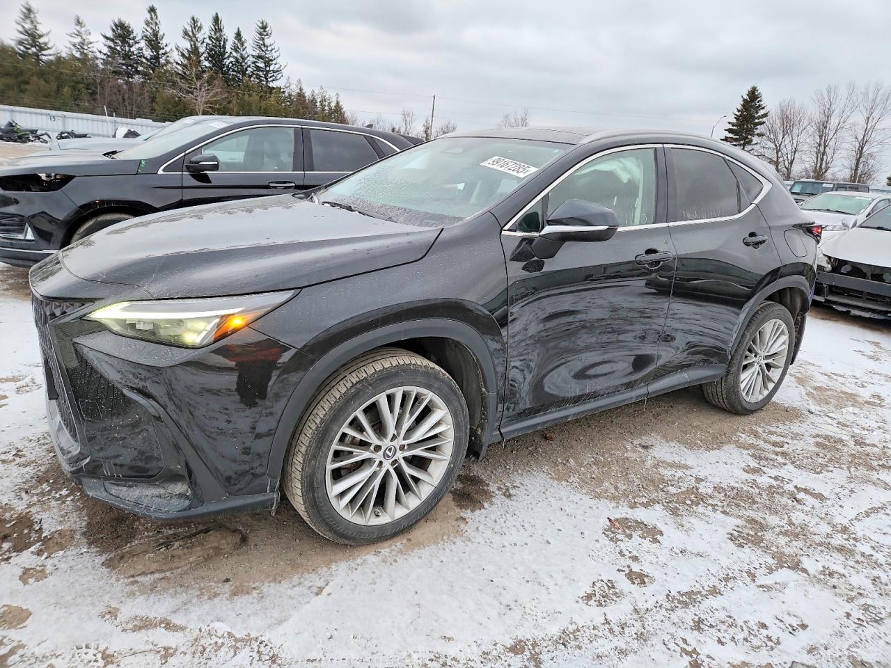 2023 LEXUS NX 350