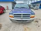 2001 DODGE Dakota