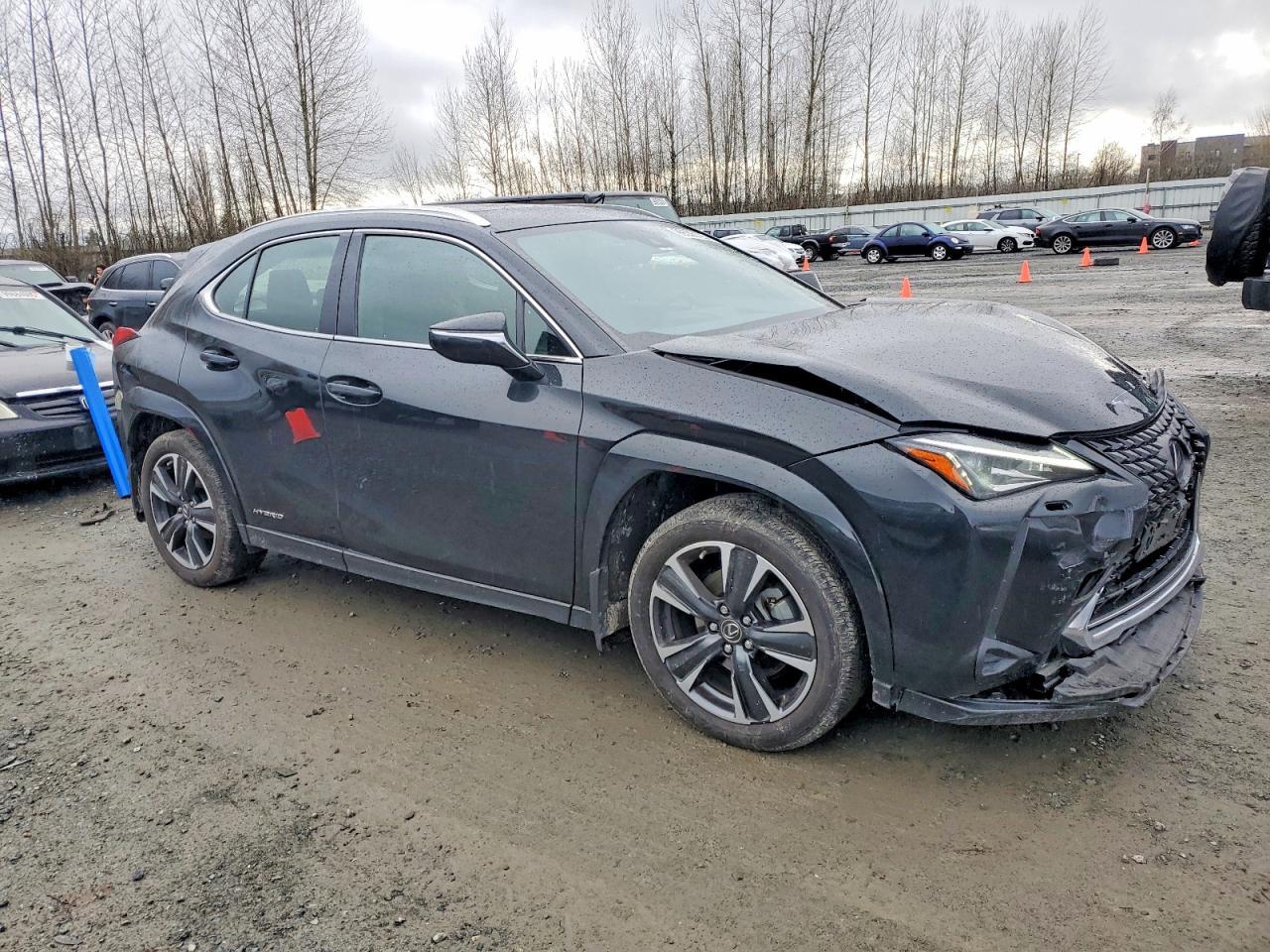 2022 LEXUS UX 250H