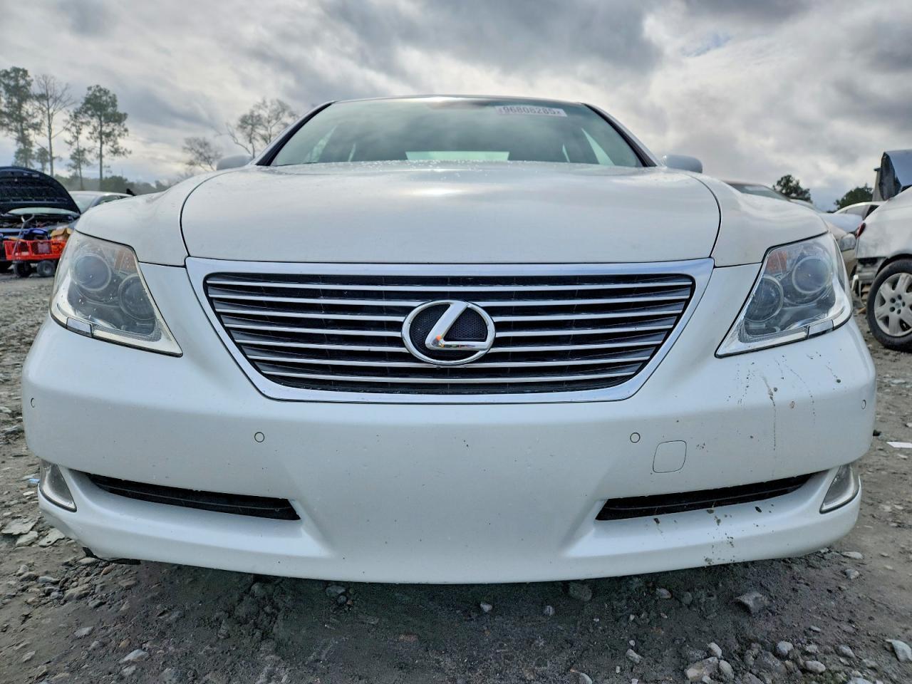 2009 LEXUS LS 460