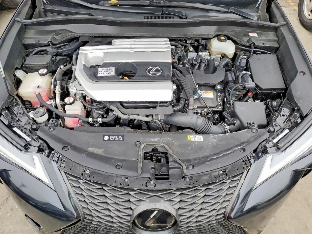2019 LEXUS UX 250H