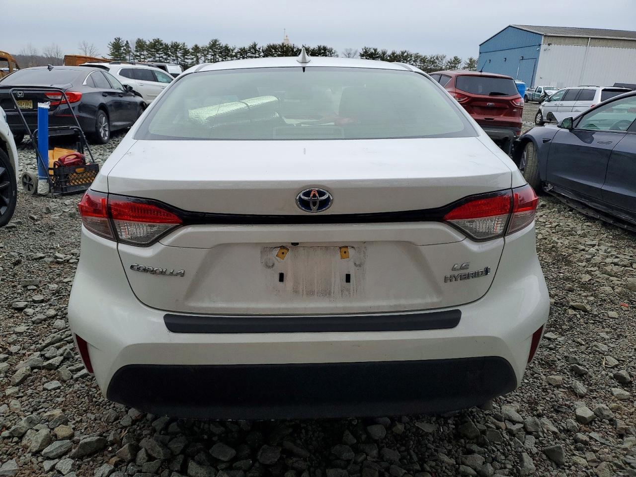 2023 TOYOTA COROLLA