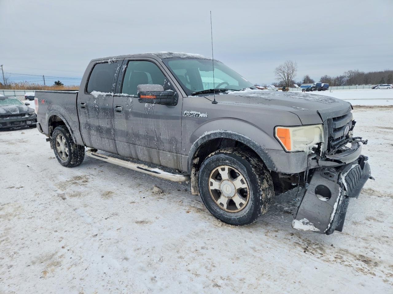 2010 FORD F-150