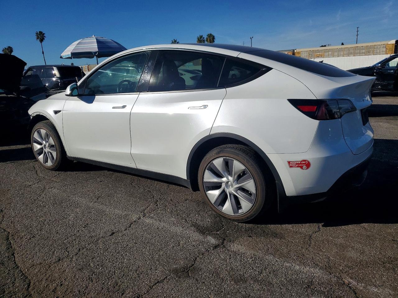 2024 TESLA MODEL Y