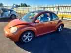2010 VOLKSWAGEN Beetle