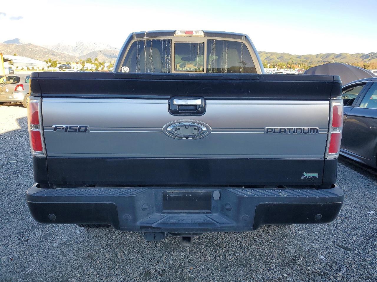 2010 FORD F-150