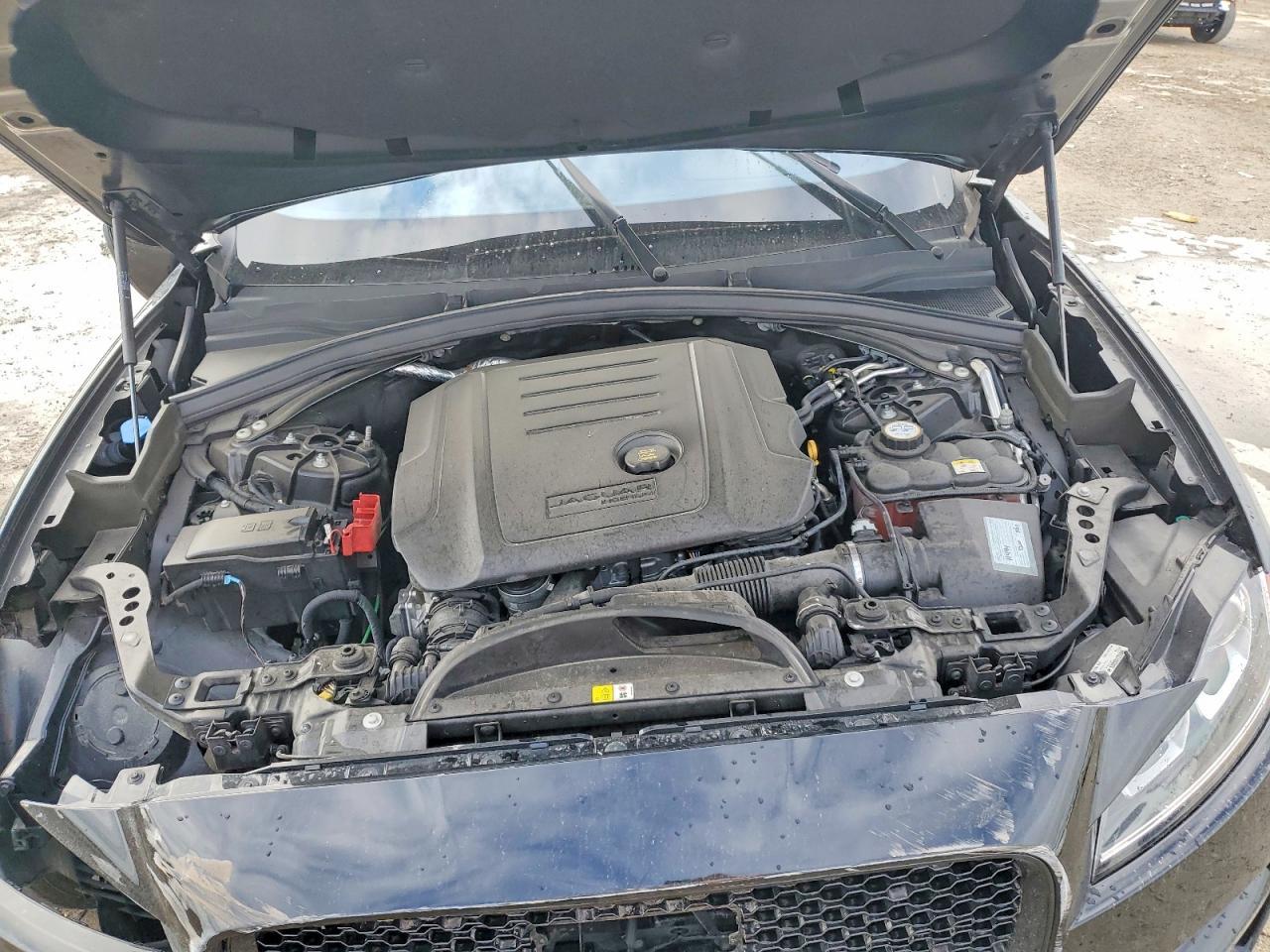 2019 JAGUAR F-Pace