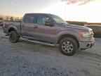 2013 FORD F-150 Lightning
