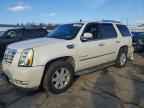 2007 CADILLAC ESCALADE