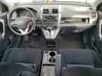 2009 HONDA CR-V