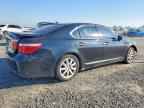 2007 LEXUS LS 460