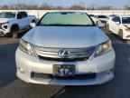 2010 LEXUS HS 250h