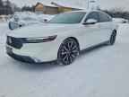 2023 HONDA ACCORD