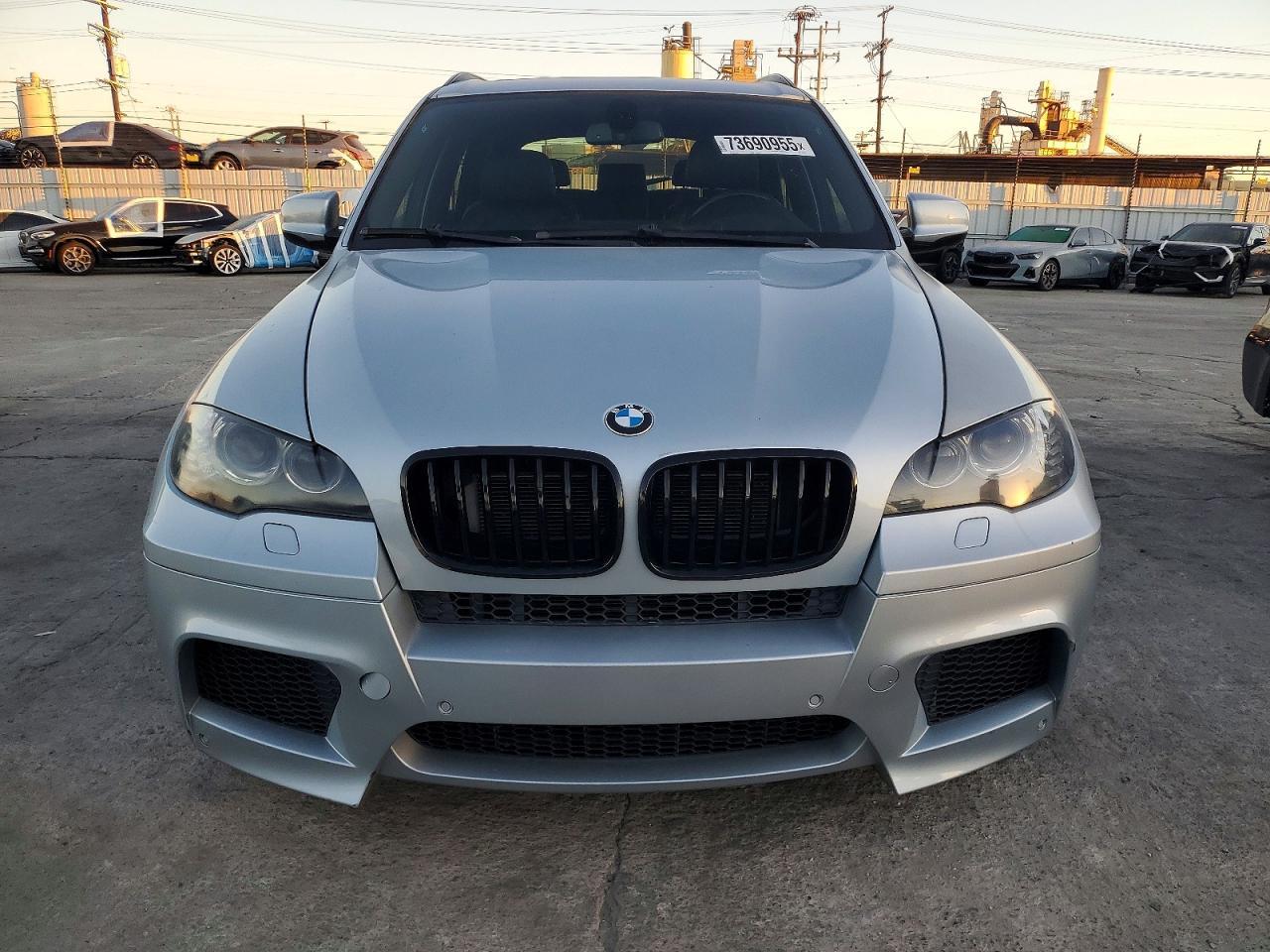 2010 BMW X5