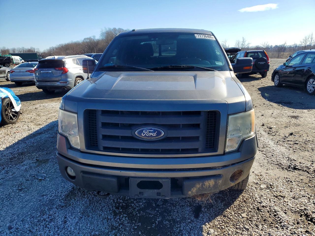 2010 FORD F-150