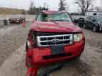 2009 FORD ESCAPE
