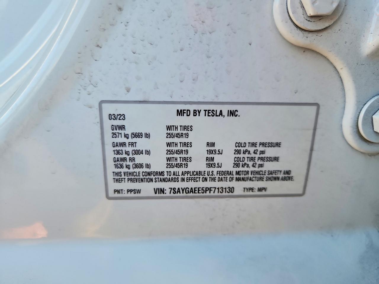 2023 TESLA MODEL Y