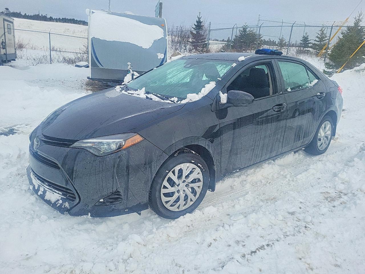 2019 TOYOTA COROLLA