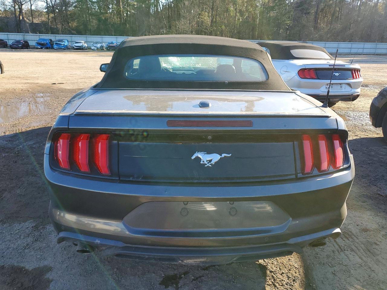 2019 FORD MUSTANG