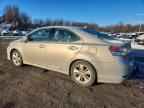2010 LEXUS HS 250h