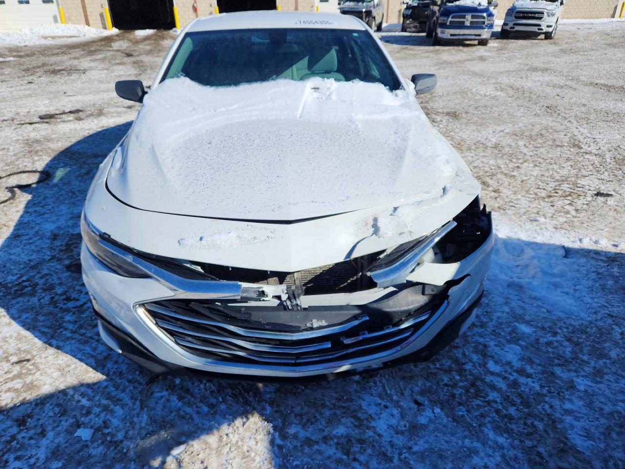 2019 CHEVROLET MALIBU