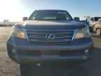 2010 LEXUS GX 460