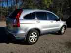 2007 HONDA CR-V