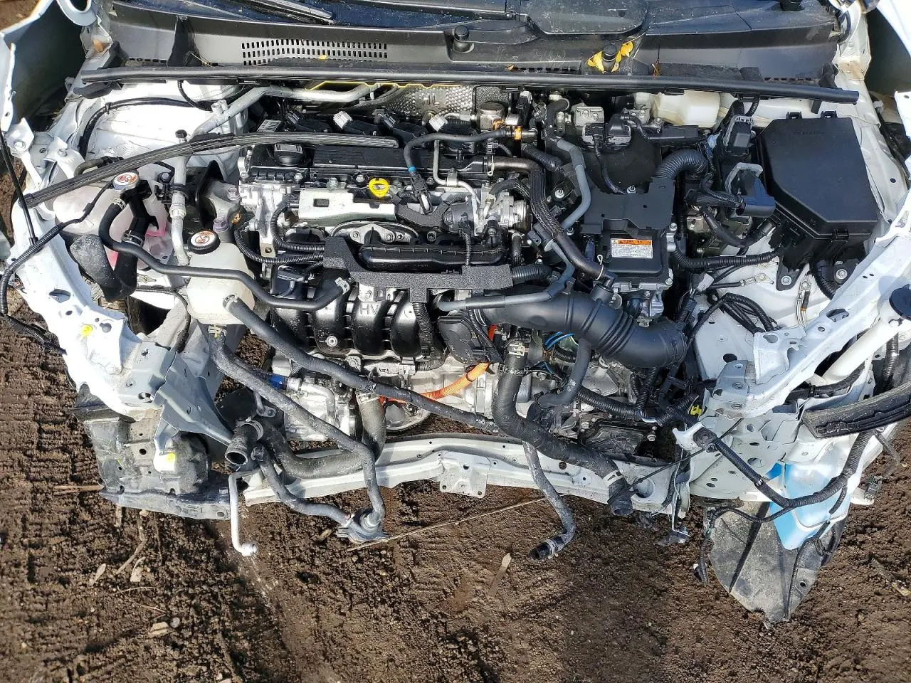 2024 TOYOTA PRIUS