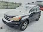 2010 HONDA CR-V
