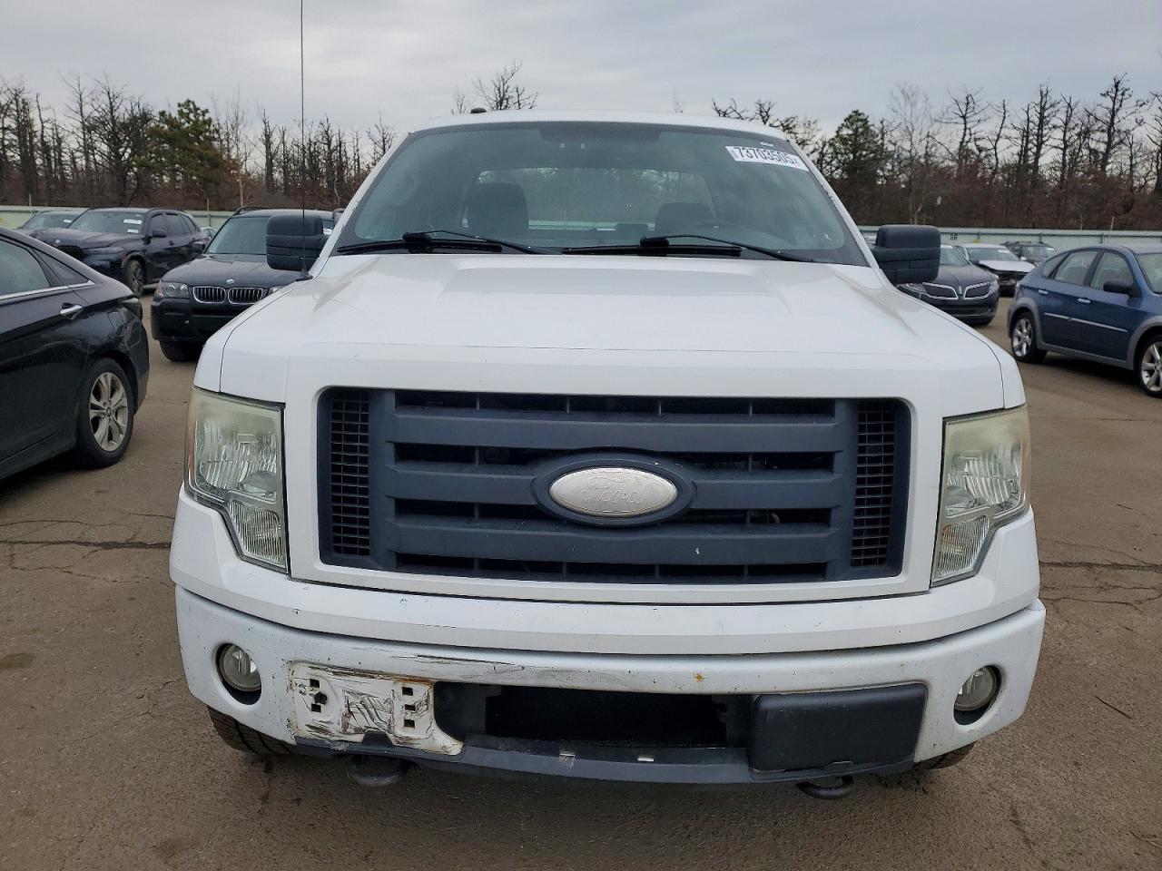2009 FORD F-150